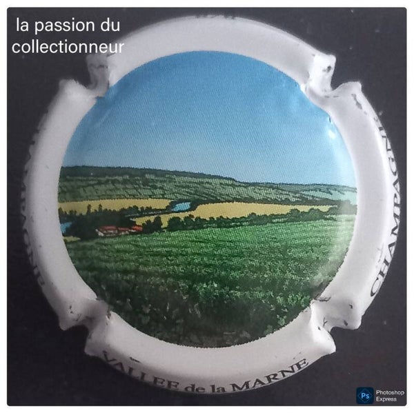Capsule de champagne générique