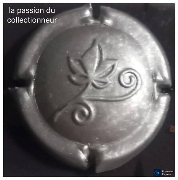 Capsule de champagne générique