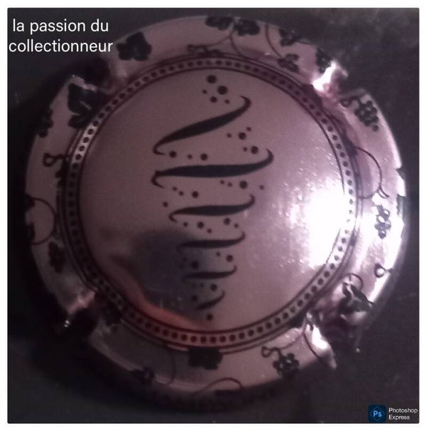 Capsule de champagne Côte des Blancs