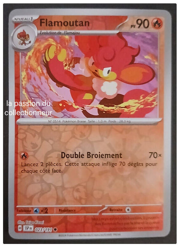 Carte pokémon de Flamoutan 023/191