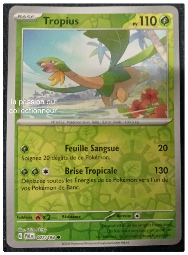 Carte pokémon de Tropius 007/193