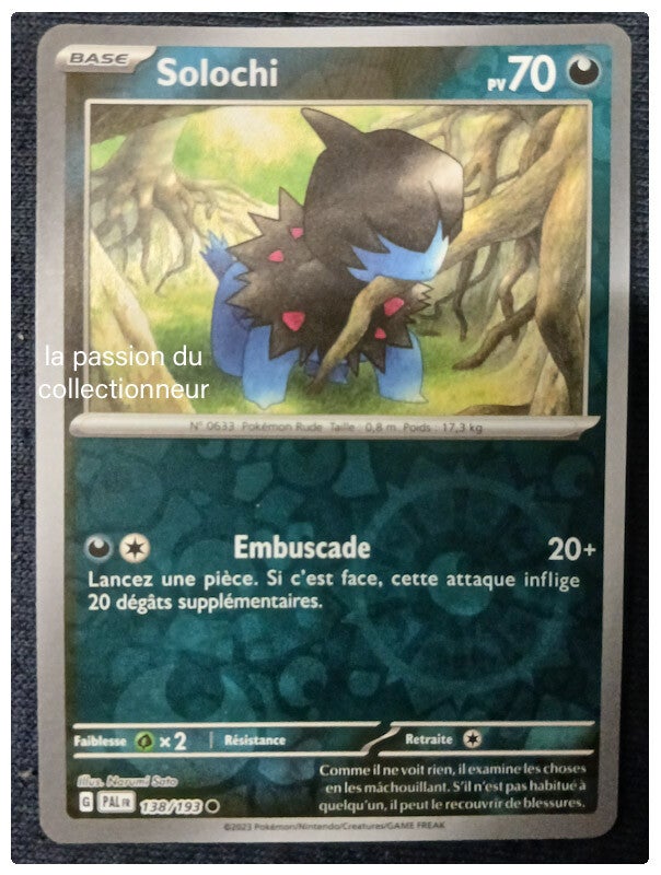 Carte pokémon de Solochi 238/193