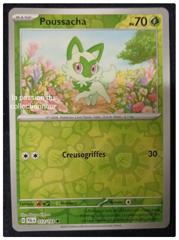 Carte pokémon de Poussacha 013/193