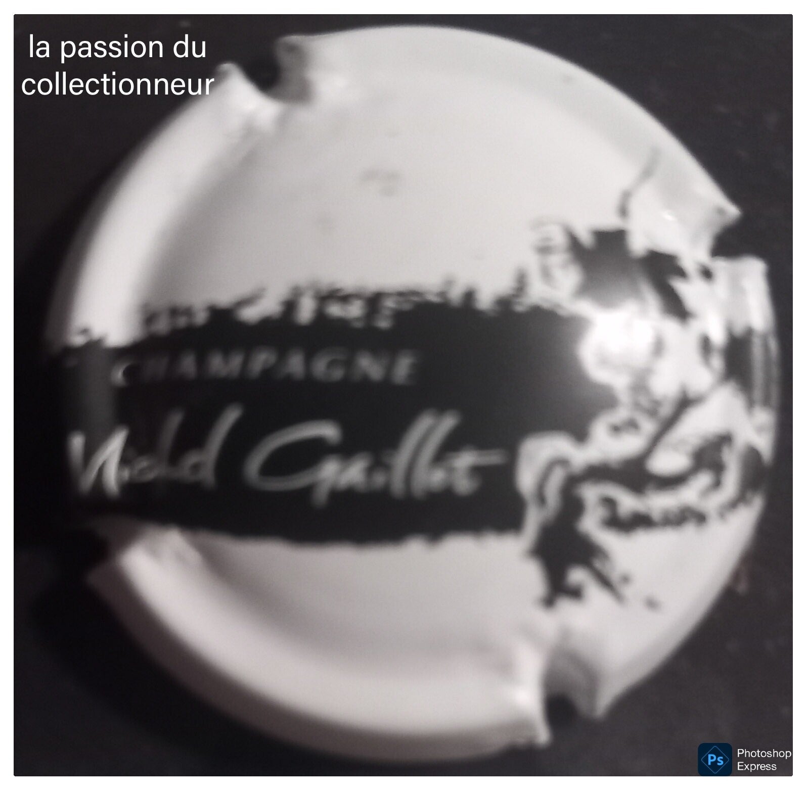 Capsule de champagne Gaillot Michel