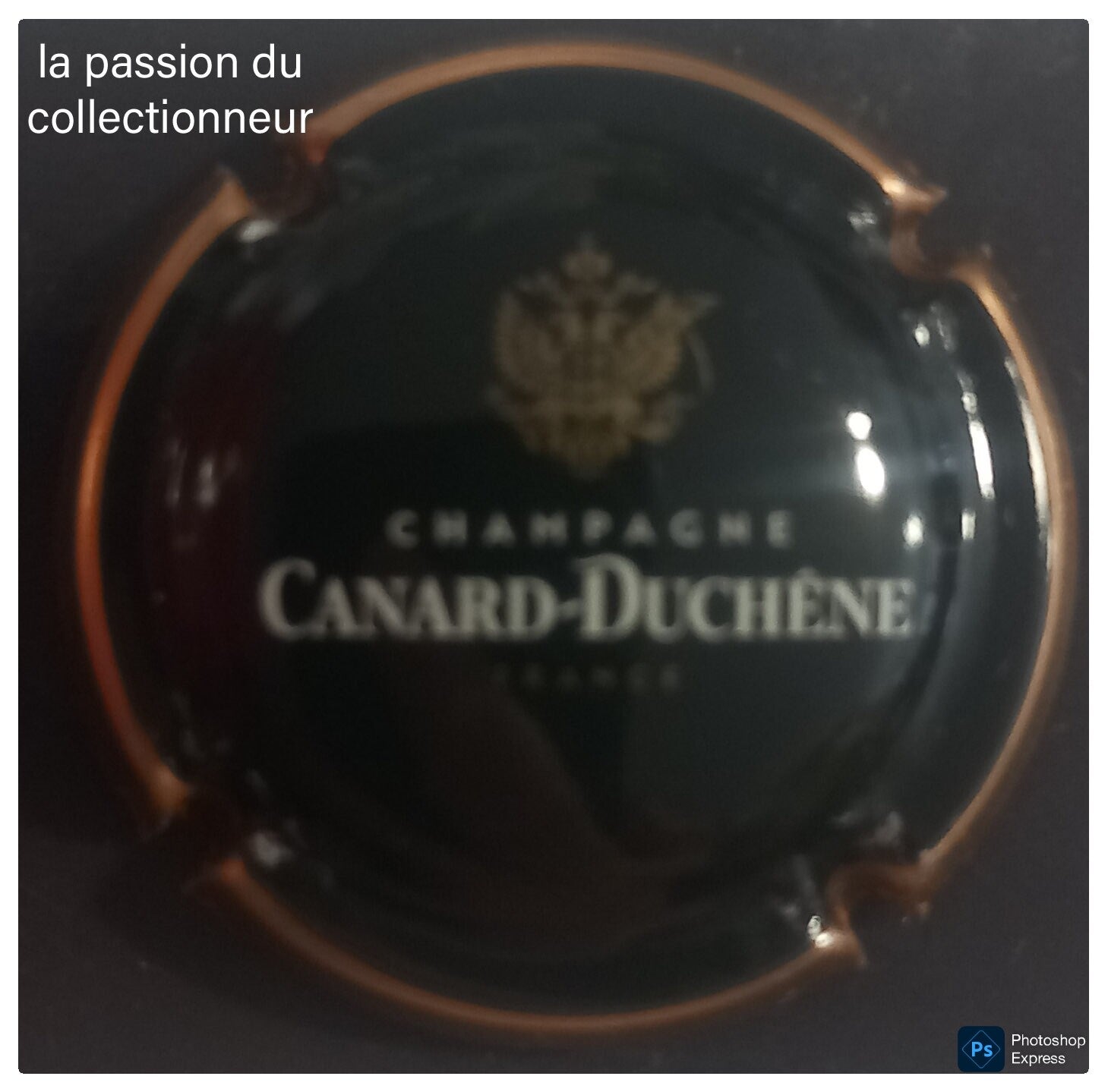 Capsule de champagne Canard Duchêne fond noir