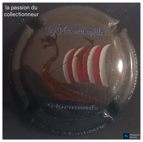 Capsule de champagne Herbert Stéphane