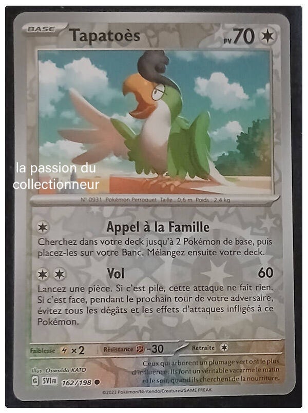 Carte pokémon de Tapatoés 162/198