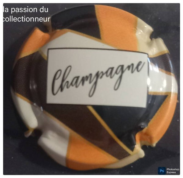 Capsule de champagne générique