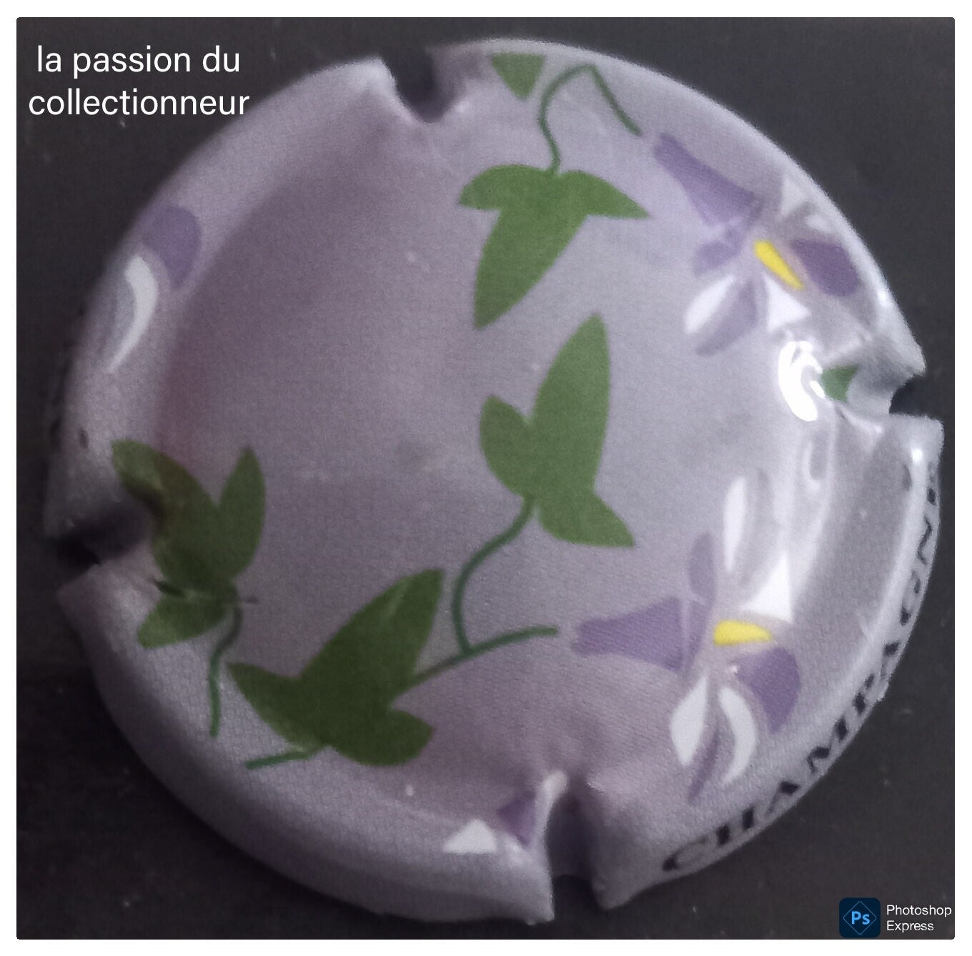 Capsule de champagne générique