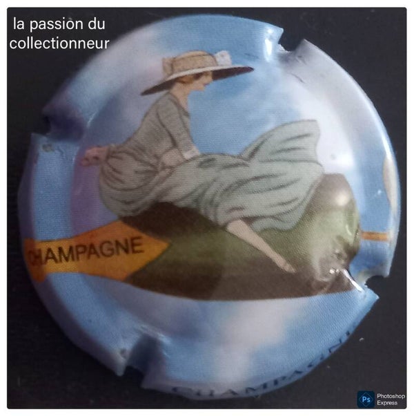 Capsule de champagne générique