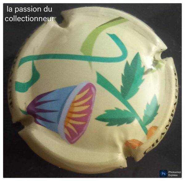 Capsule de champagne générique