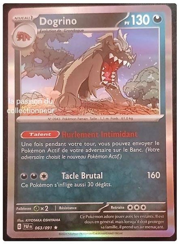 Carte pokémon de Dogrino 063/091