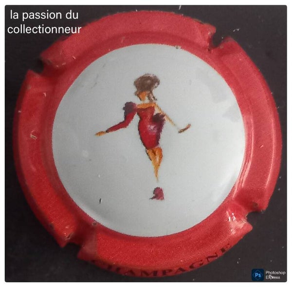 Capsule de champagne générique