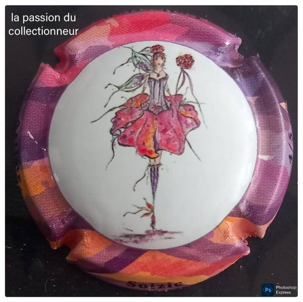 Capsule de champagne générique