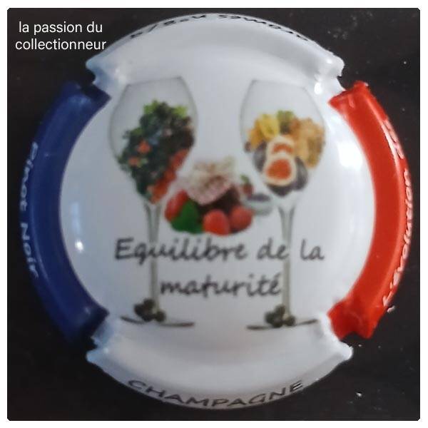 Capsule de champagne générique