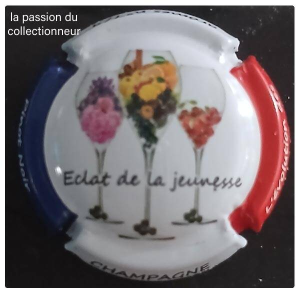 Capsule de champagne générique