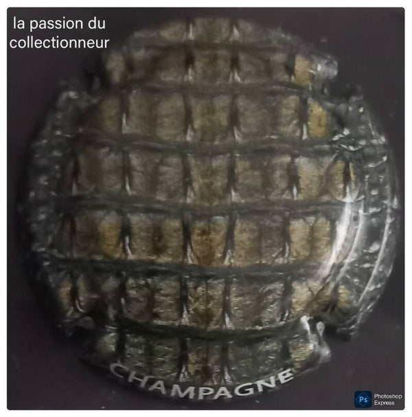 Capsule de champagne générique