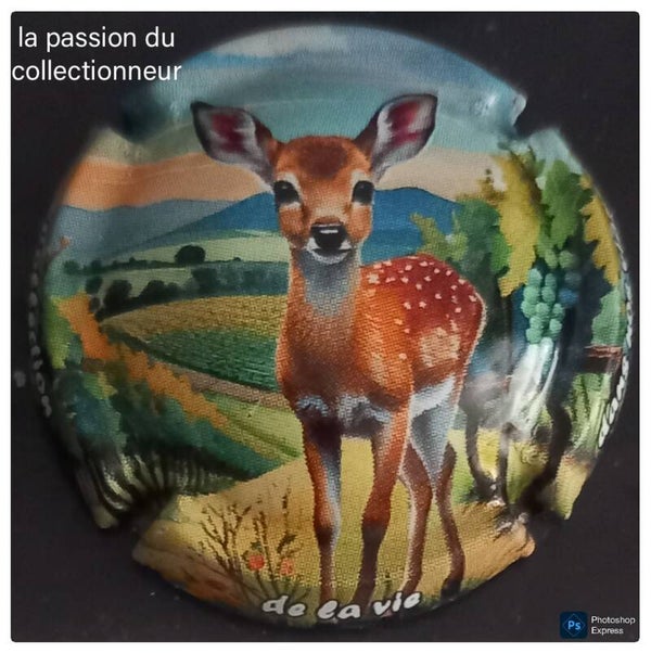 Capsule de champagne générique