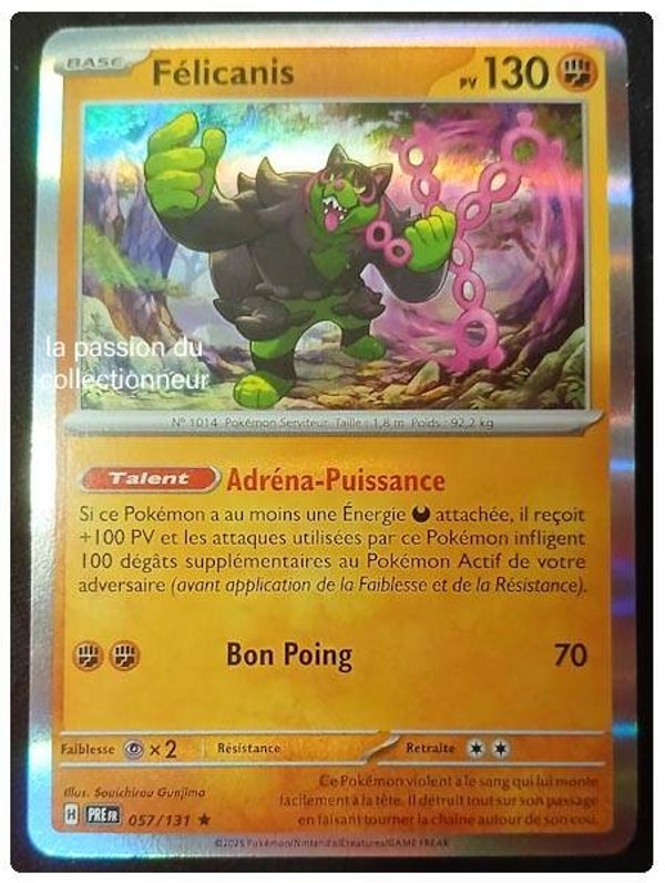 Carte pokémon de Félicanis 057/131