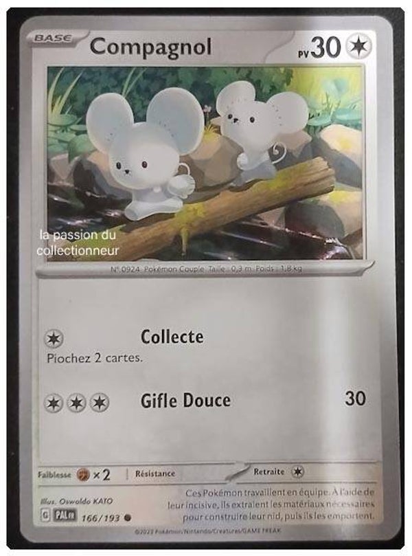 Carte pokémon de Compagnol 166/193