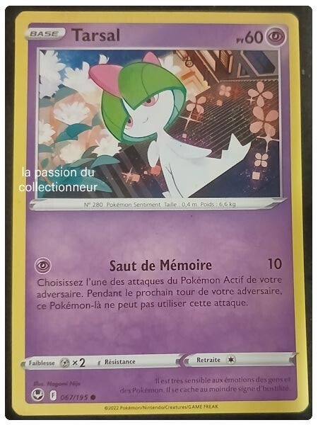 Carte pokémon de Tarsal 067/195