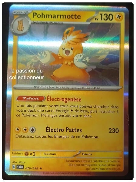 Carte pokémon de Pohmarmotte 076/198
