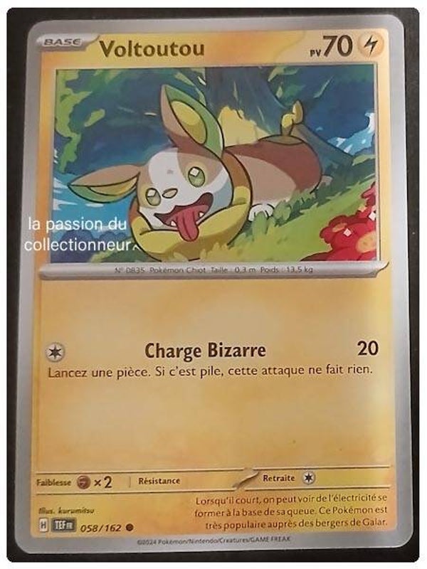 Carte pokémon de Voltoutou 058/162