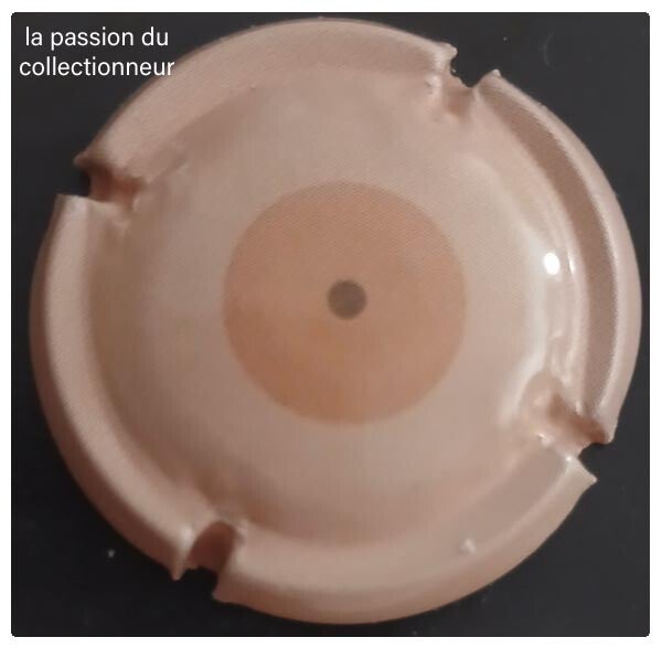 Capsule de champagne générique