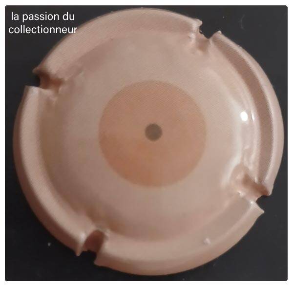 Capsule de champagne générique