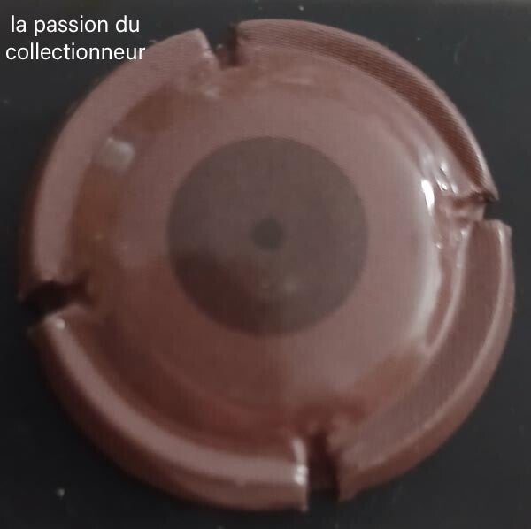 Capsule de champagne générique