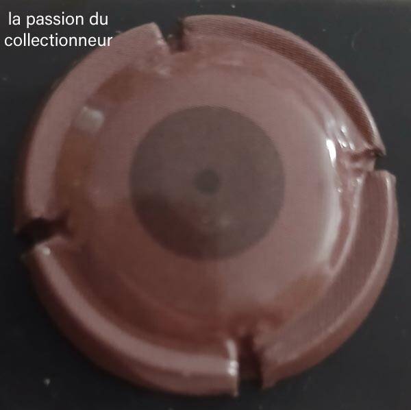 Capsule de champagne générique