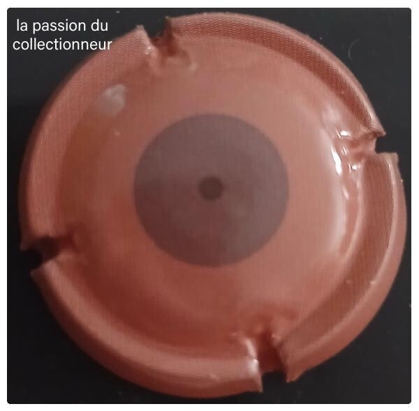 Capsule de champagne générique