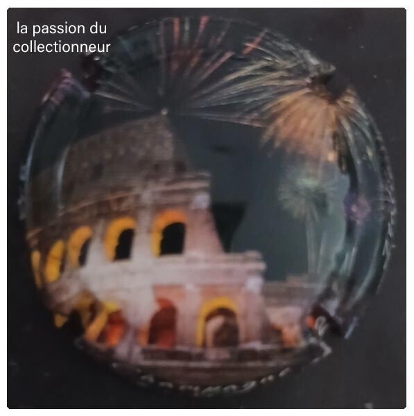 Capsule de champagne générique