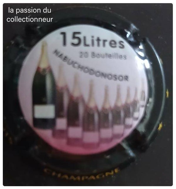 Capsule de champagne générique
