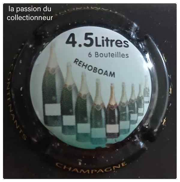 Capsule de champagne générique