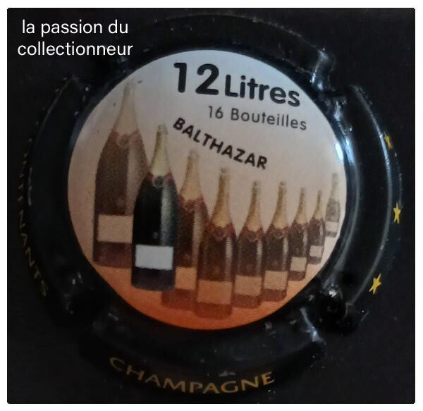 Capsule de champagne générique