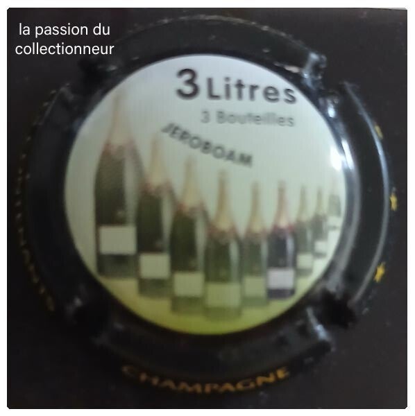 Capsule de champagne générique