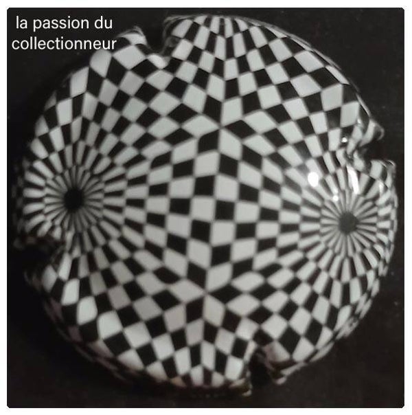 Capsule de champagne générique