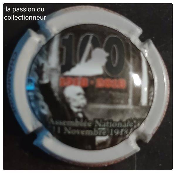 Capsule de champagne générique