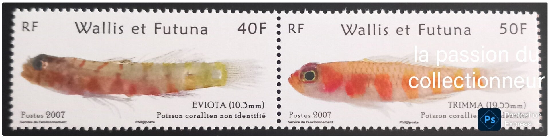 Timbre de Wallis et Futuna neuf numéro 677 et 678