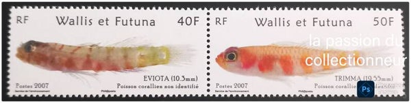 Timbre de Wallis et Futuna neuf numéro 677 et 678