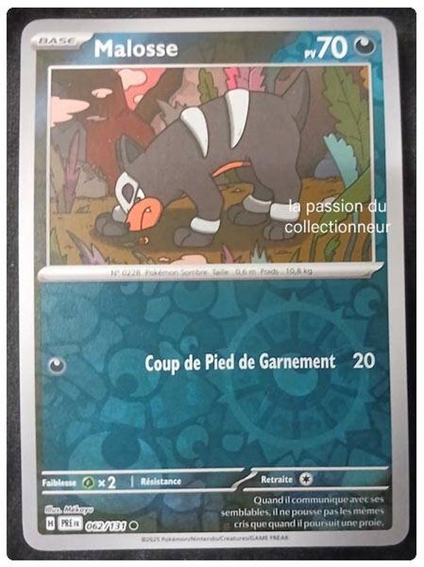 Carte pokémon de Malosse 062/131