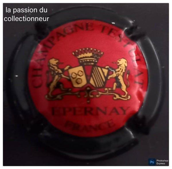 Capsule de champagne Testulat Vincent