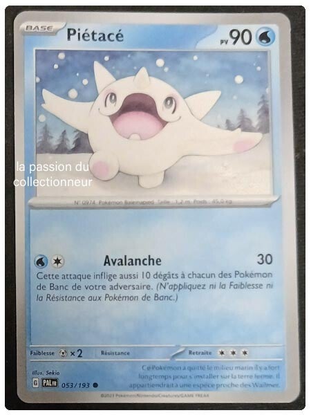 Carte pokémon de Piétacé 063/193