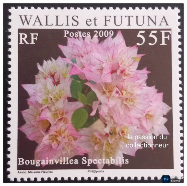 Timbre de Wallis et Futuna neuf numéro 713