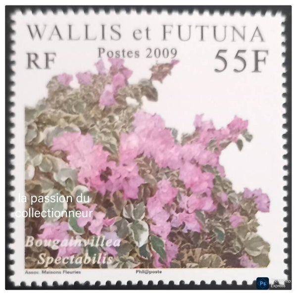 Timbres de Wallis et Futuna neuf numéro 714