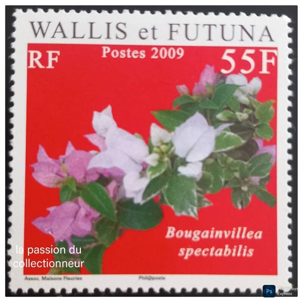 Timbre de Wallis et Futuna neuf numéro 715