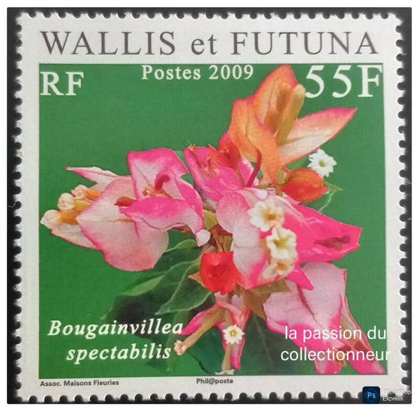 Timbre de Wallis et Futuna neuf numéro 716