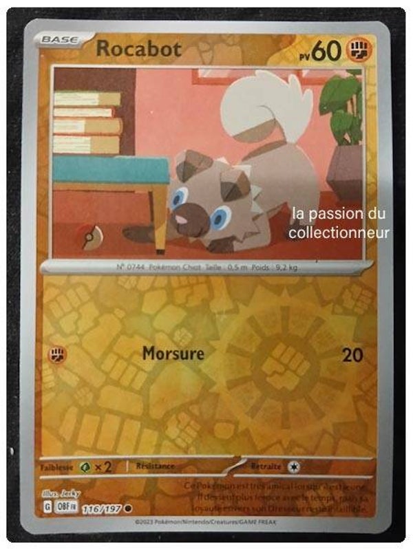 Carte pokémon de Rocabot 116/197