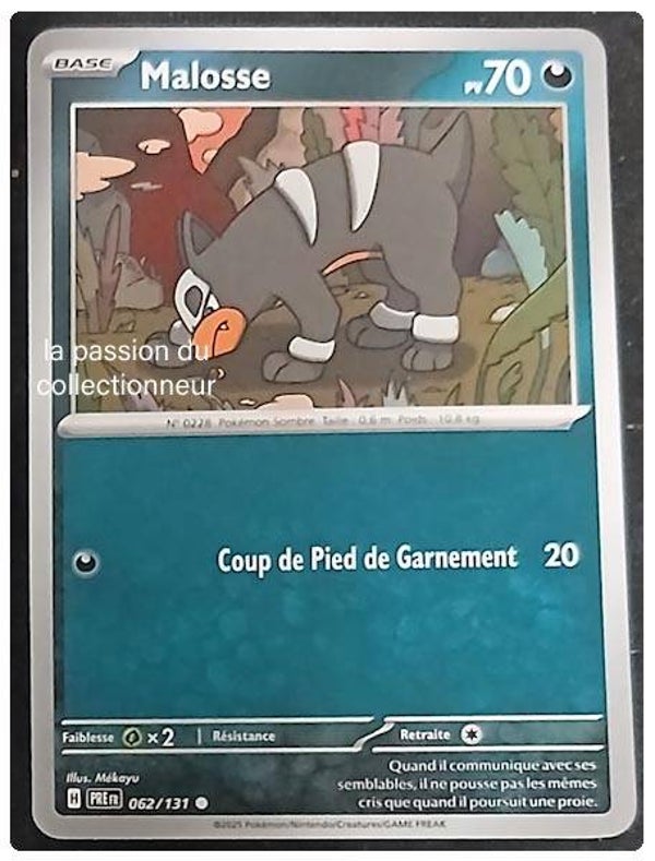 Carte pokémon de Malosse 062/131